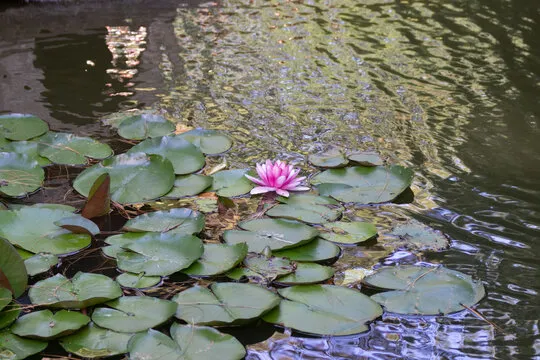 牌九扑克平台 - 视觉横幅